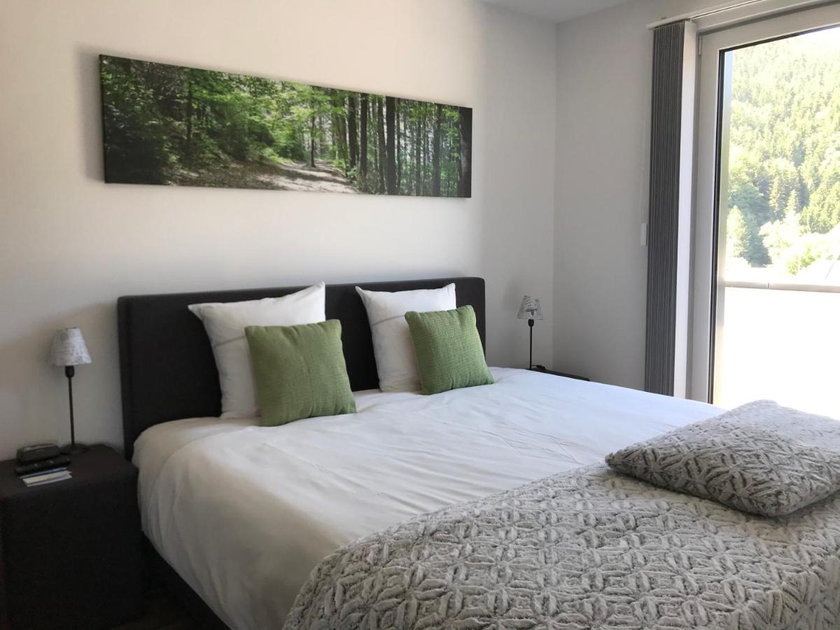 Penthouse Lebierre Ξενοδοχείο Malmedy Εξωτερικό φωτογραφία